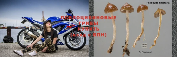 синтетический гашиш Елизово