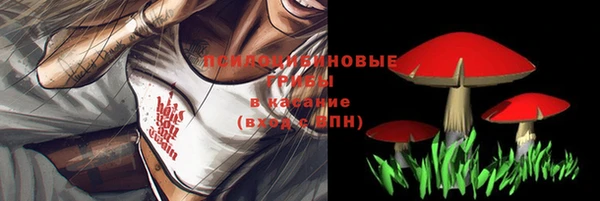 синтетический гашиш Елизово