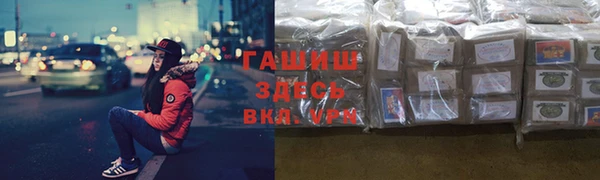 крисы Елабуга