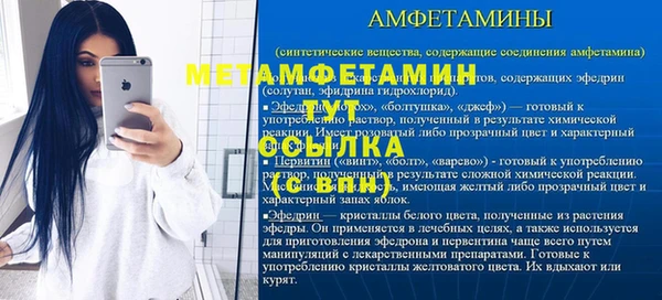 крисы Елабуга