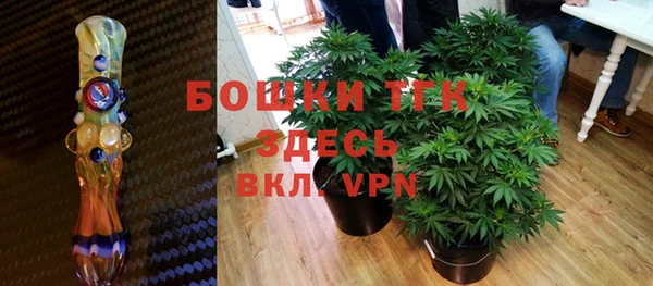 крисы Елабуга