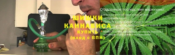 крисы Елабуга